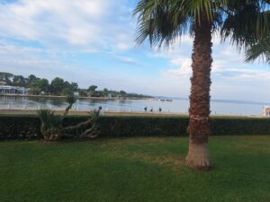 563458270_1131302645770564_6833032824166238683_n