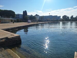 563459931_1131301989103963_5863686810470134916_n